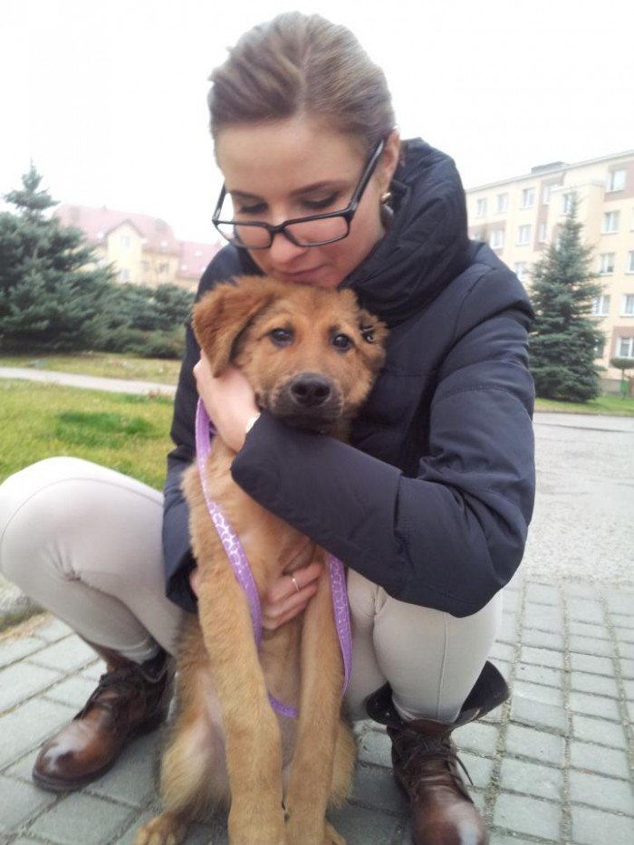 kto-przygarnie-i-pokocha-porzucona-miske-foto-43396