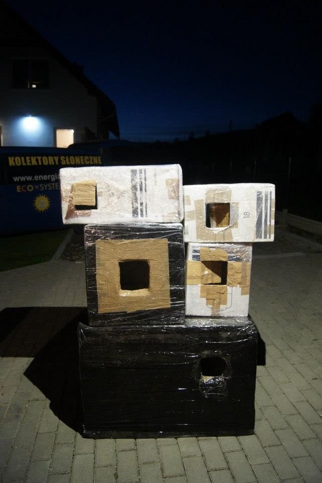 walcza-o-skrzywdzone-zwierzeta-foto-43567