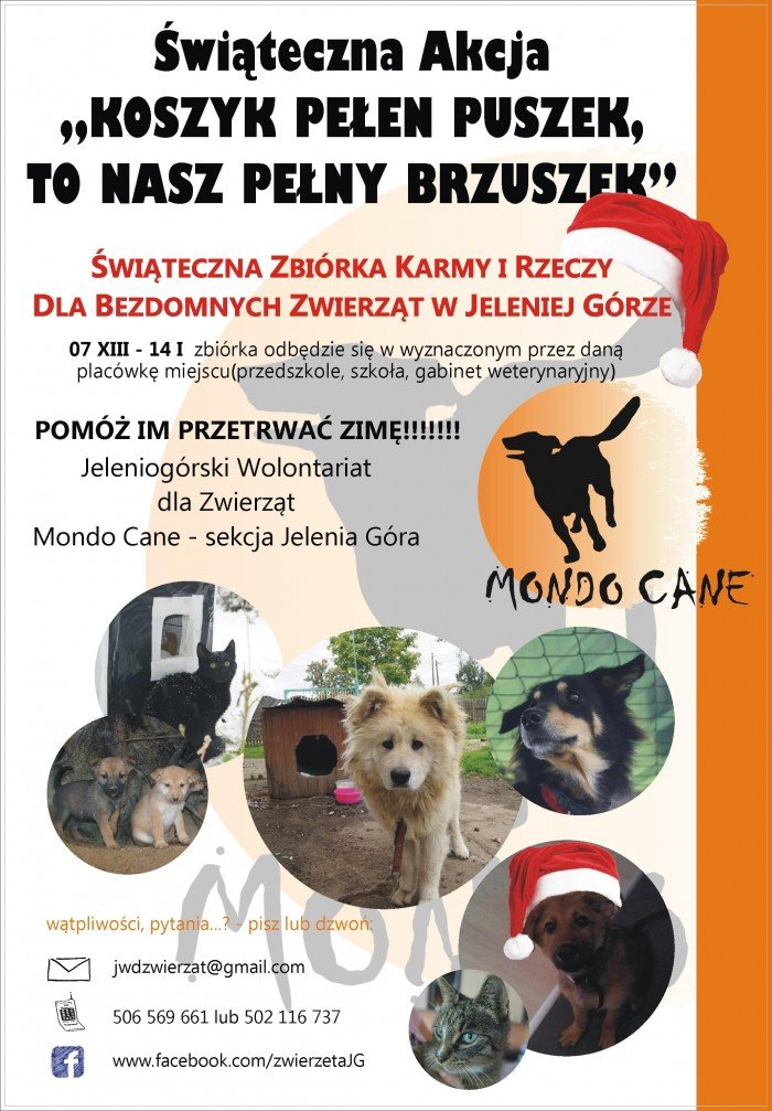 walcza-o-skrzywdzone-zwierzeta-foto-43567