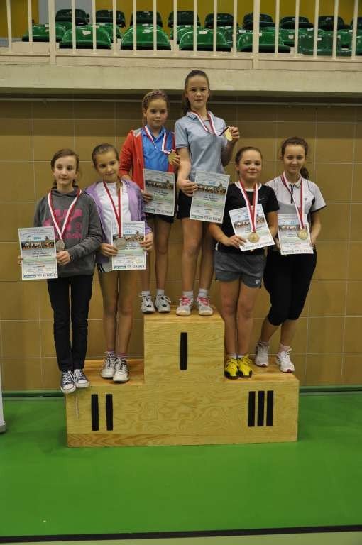 chojnik-wystartowa-w-dolnoslaskim-czempionacie-foto-43728