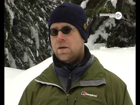 dziennik-2012-12-20-video-43786