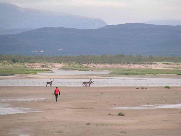 podsumowanie-wyprawy-skandynawia-2005-4385