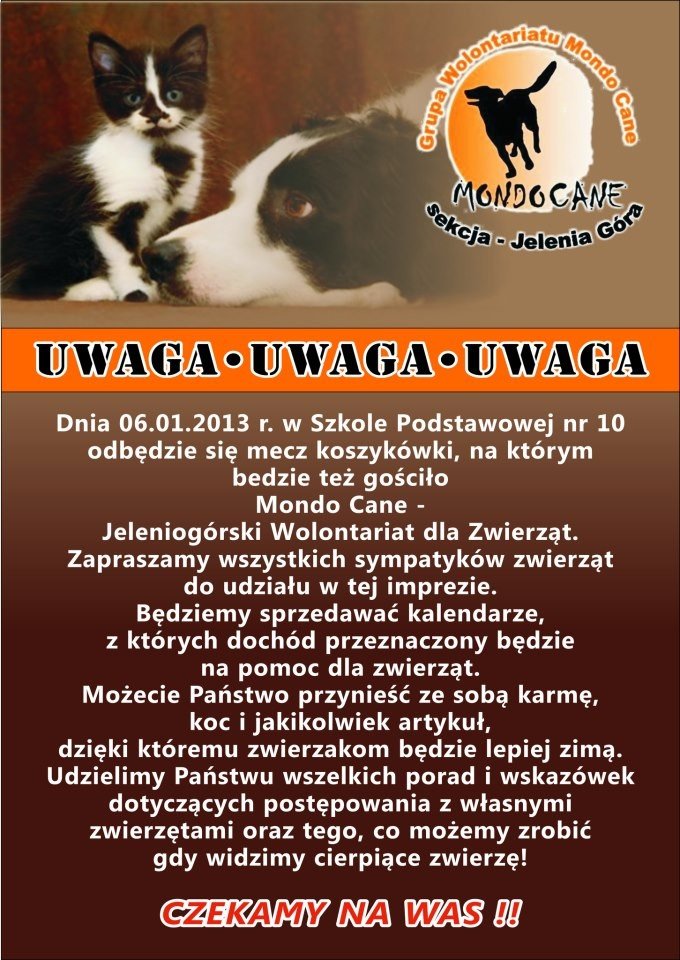 mecz-koszykarek-z-licznymi-atrakcjami-43983
