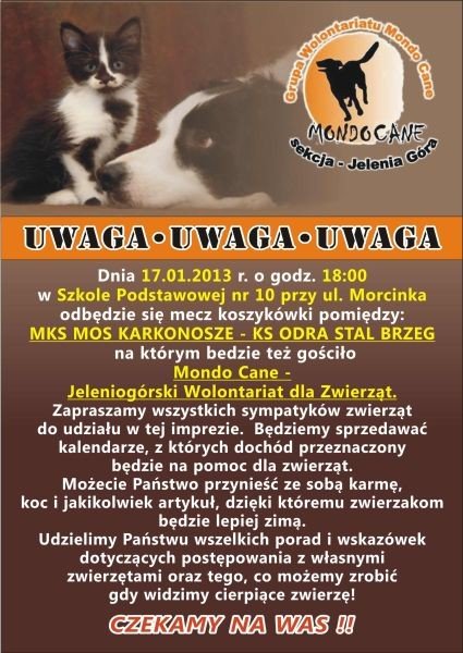 koszykarki-odrobia-zalegosci-44188