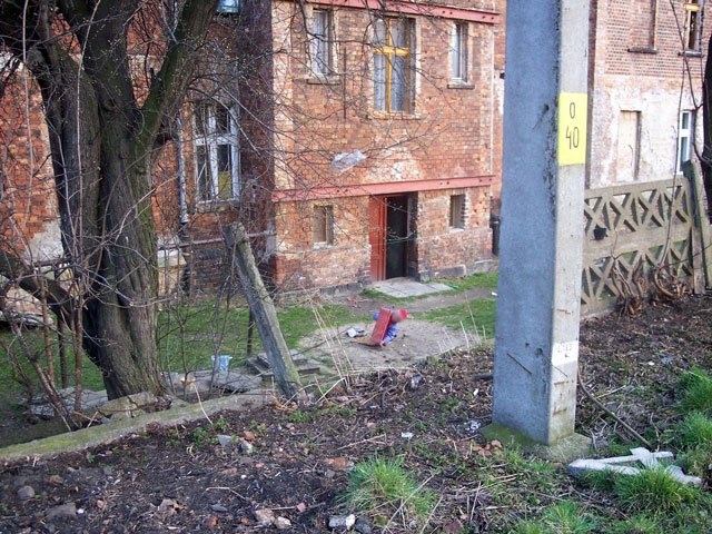 igranie-z-nieszczesciem-4435