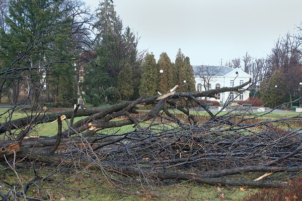 wciaz-usuwaja-skutki-wichury-4440