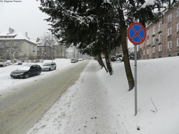 powstay-projekty-szlakow-do-budnik-to-beda-piekne-trasy-turystyczne-foto-44487