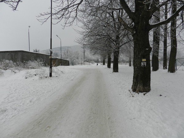 powstay-projekty-szlakow-do-budnik-to-beda-piekne-trasy-turystyczne-foto-44487