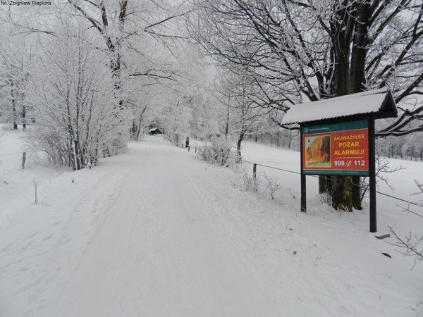 powstay-projekty-szlakow-do-budnik-to-beda-piekne-trasy-turystyczne-foto-44487