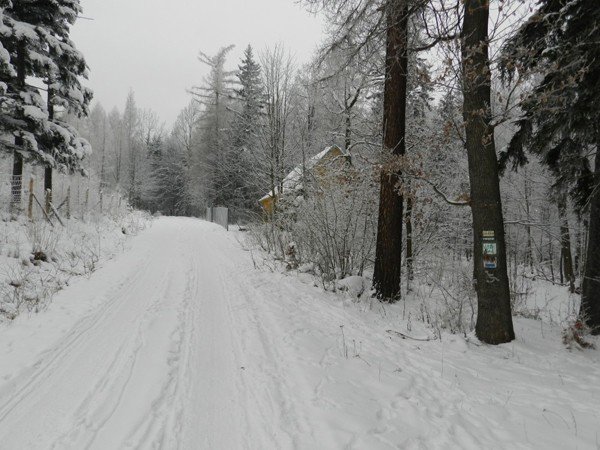powstay-projekty-szlakow-do-budnik-to-beda-piekne-trasy-turystyczne-foto-44487