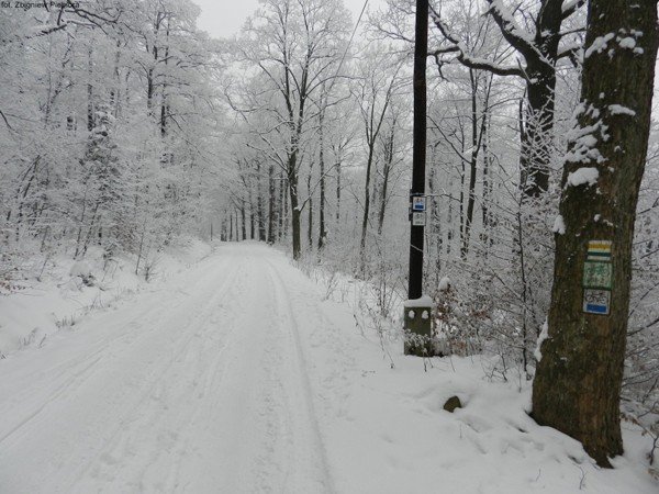 powstay-projekty-szlakow-do-budnik-to-beda-piekne-trasy-turystyczne-foto-44487