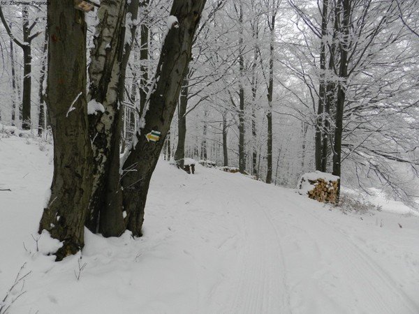 powstay-projekty-szlakow-do-budnik-to-beda-piekne-trasy-turystyczne-foto-44487