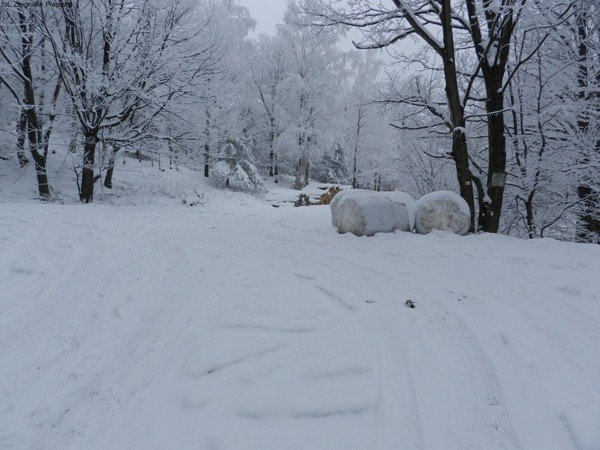 powstay-projekty-szlakow-do-budnik-to-beda-piekne-trasy-turystyczne-foto-44487