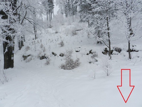powstay-projekty-szlakow-do-budnik-to-beda-piekne-trasy-turystyczne-foto-44487