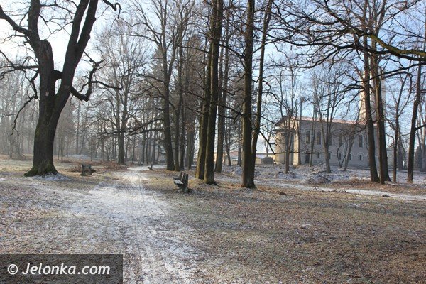 po-rewaloryzacji-przypaacowy-park-bedzie-pereka-mysakowic-foto-44618