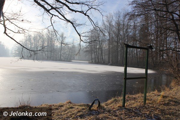 po-rewaloryzacji-przypaacowy-park-bedzie-pereka-mysakowic-foto-44618
