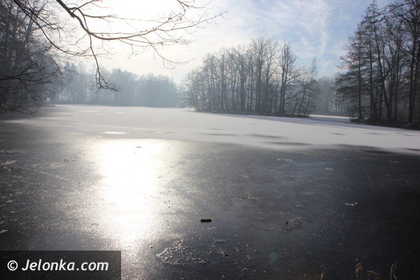 po-rewaloryzacji-przypaacowy-park-bedzie-pereka-mysakowic-foto-44618