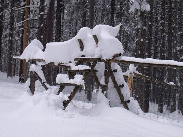 wyprawa-tropem-karkonosza-swietnie-sie-udaa-foto-44942