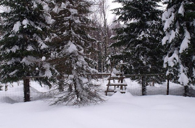 wyprawa-tropem-karkonosza-swietnie-sie-udaa-foto-44942