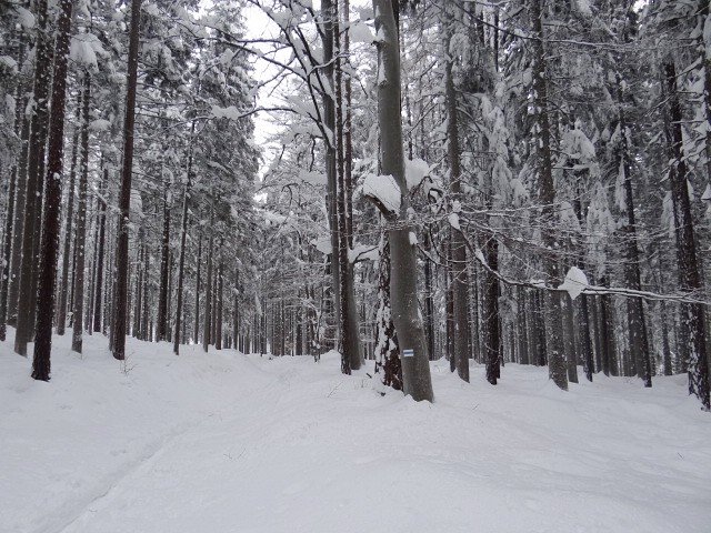 wyprawa-tropem-karkonosza-swietnie-sie-udaa-foto-44942