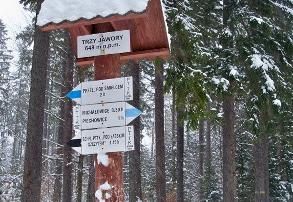 przedszkolaki-dokarmiay-lesne-zwierzeta-i-szukay-ich-tropow-foto-44968