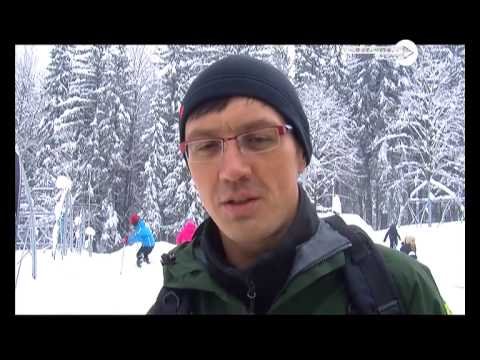 dziennik-2013-02-26-44982