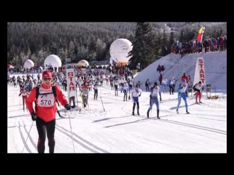 bieg-piastow-uhonorowany-45175