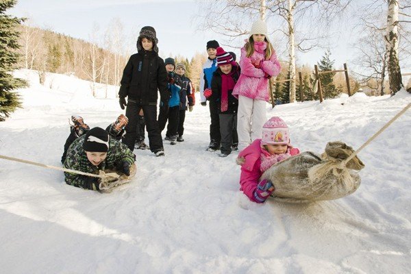 dolnoslaskie-zuchy-na-wyprawie-polarnej-w-sosnowce-foto-45182