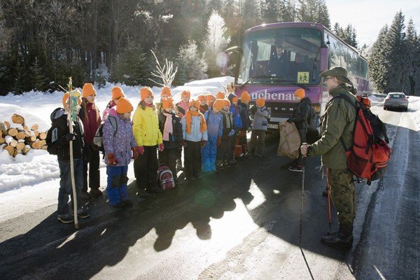 dolnoslaskie-zuchy-na-wyprawie-polarnej-w-sosnowce-foto-45182