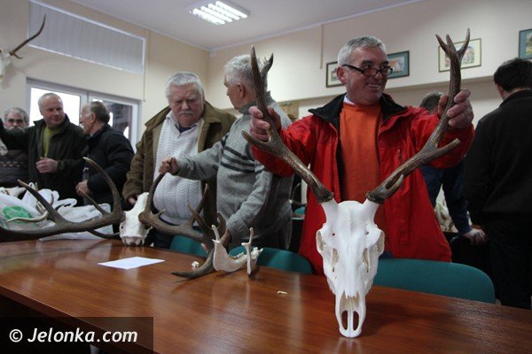 oceniano-poroza-jeleni-pozyskane-w-kotlinie-jeleniogorskiej-foto-45206
