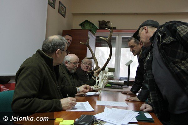 oceniano-poroza-jeleni-pozyskane-w-kotlinie-jeleniogorskiej-foto-45206