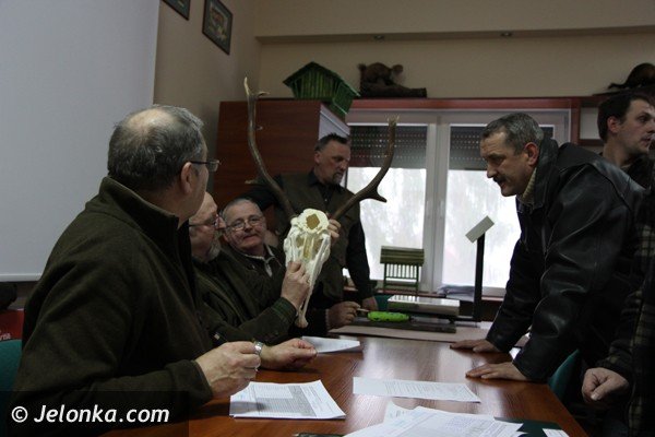 oceniano-poroza-jeleni-pozyskane-w-kotlinie-jeleniogorskiej-foto-45206