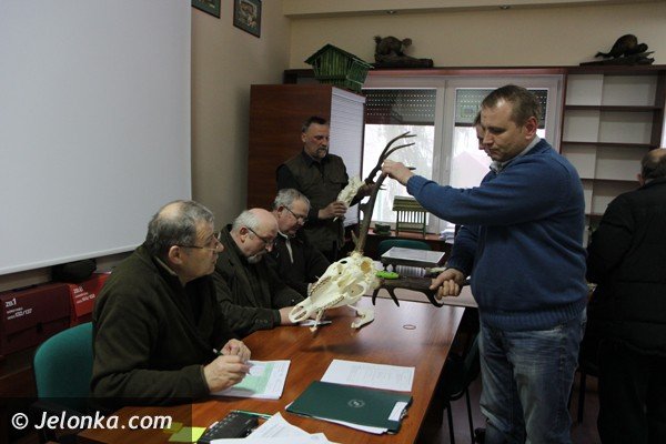 oceniano-poroza-jeleni-pozyskane-w-kotlinie-jeleniogorskiej-foto-45206