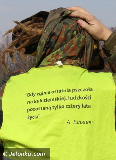zajecha-na-miodzie-i-dwoch-kokach-do-jeleniej-gory-a-wszystko-dla-pszczo-foto-45227