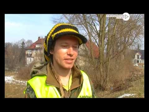 dziennik-2013-03-12-45264