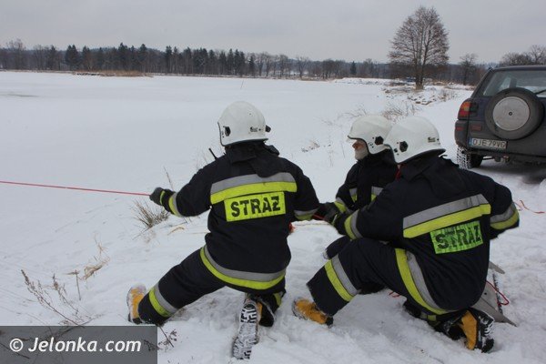 chmara-jeleni-wpada-do-stawu-w-podgorzynie-zwierzeta-ratowali-strazacy-foto-45331