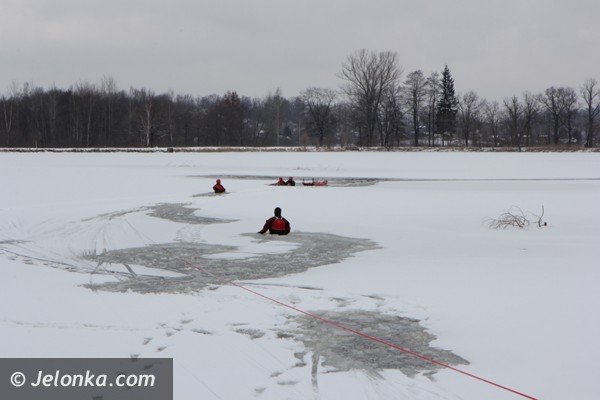 chmara-jeleni-wpada-do-stawu-w-podgorzynie-zwierzeta-ratowali-strazacy-foto-45331