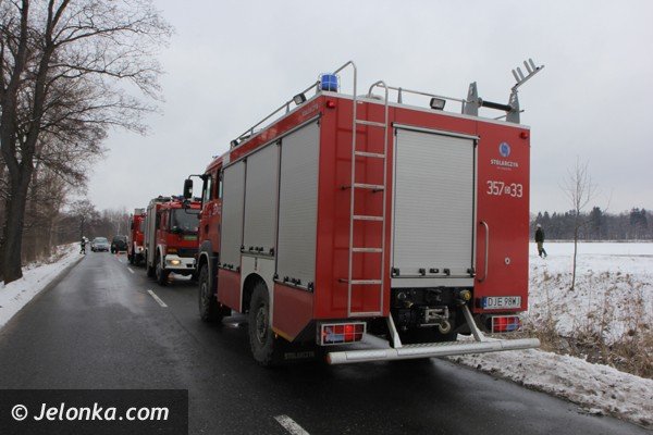 chmara-jeleni-wpada-do-stawu-w-podgorzynie-zwierzeta-ratowali-strazacy-foto-45331