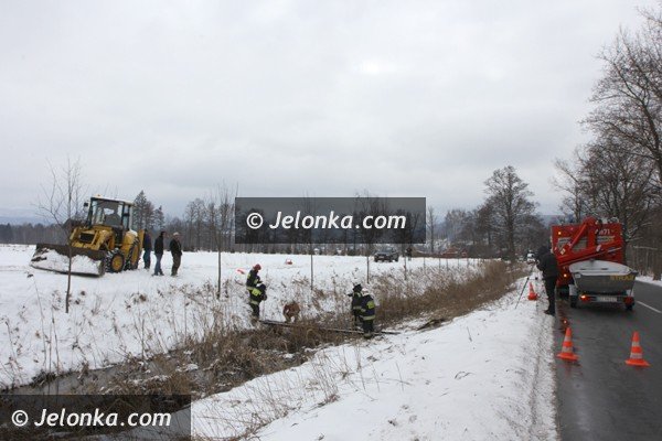chmara-jeleni-wpada-do-stawu-w-podgorzynie-zwierzeta-ratowali-strazacy-foto-45331