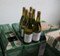 holender-wioz-substancje-z-ktorej-mozna-zrobic-prawie-po-tony-amfetaminy-foto-45371