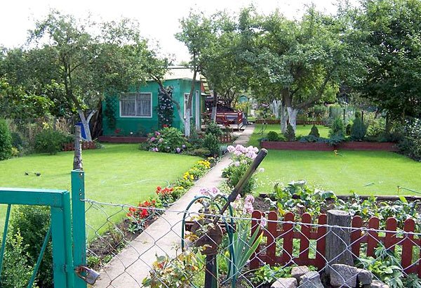 ciecie-po-dziakach-4538