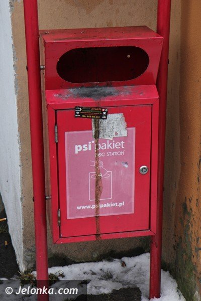 w-jeleniej-gorze-przybywa-pojemnikow-na-psie-odchody-bedzie-coraz-czysciej-foto-45417