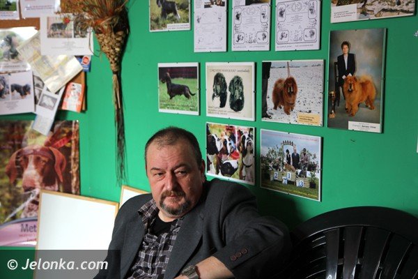 jelenia-gora-nowy-zarzad-kynologow-i-najpiekniejsze-psy-rasowe-foto-45509