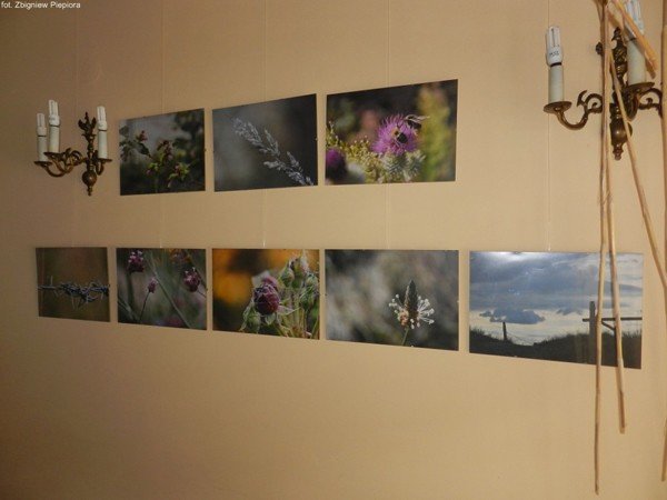 za-oknem-snieg-a-w-goscincu-piekne-letnie-fotografie-foto-45645