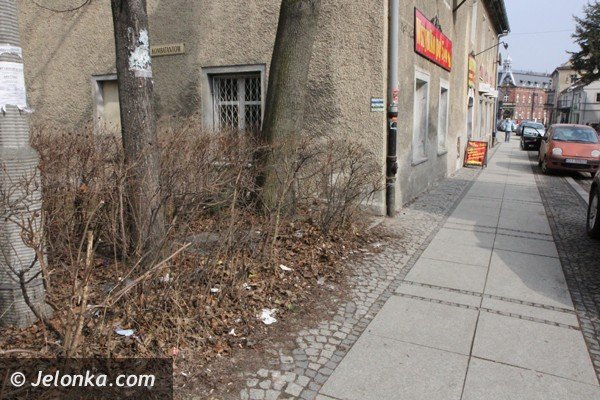 czytelniczka-alarmuje-brudno-w-naszym-uzdrowisku-foto-45651