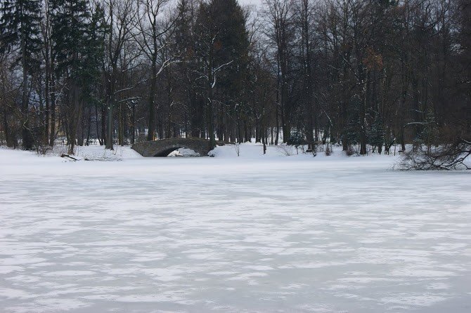 sniezny-poniedziaek-foto-45659