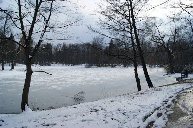 sniezny-poniedziaek-foto-45659