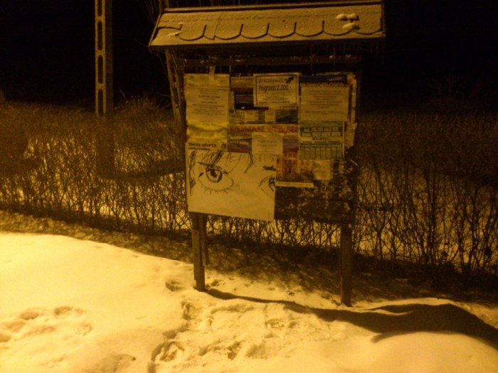 czytelnik-dziwne-oczy-w-naszym-miescie-foto-45702