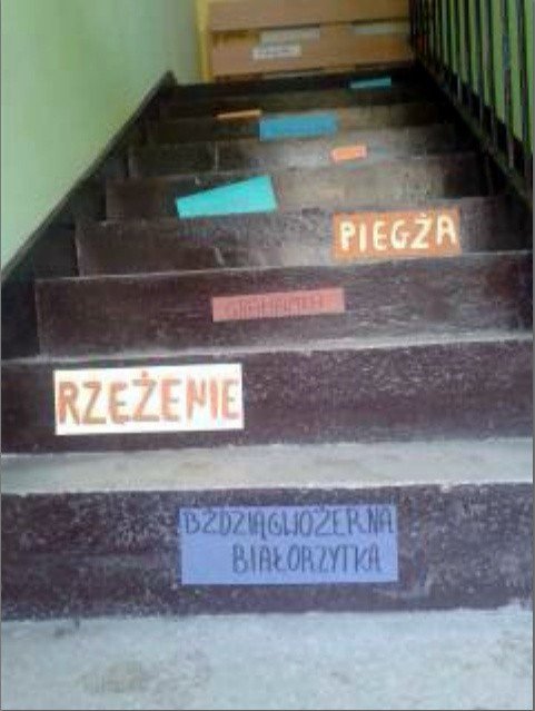 byo-dyktando-gimnazjalistom-ortografia-nie-straszna-foto-45784