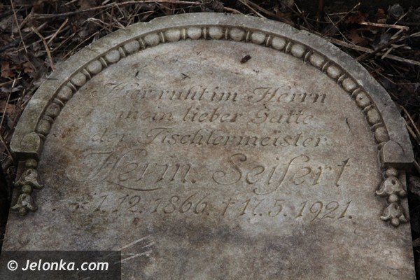 mieszkancy-goduszyna-ratuja-cmentarz-ewangelicki-od-zapomnienia-foto-45901